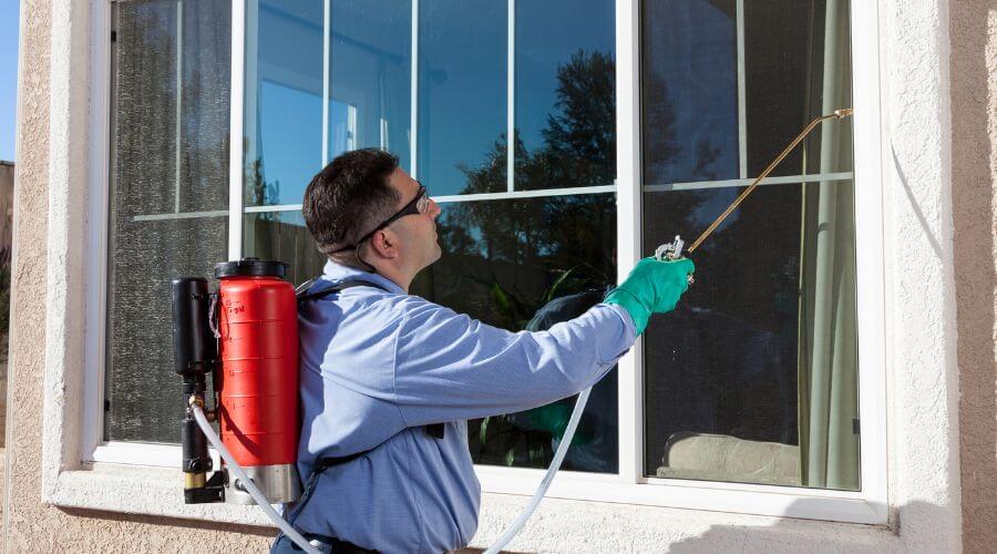 Professional apartment pest control services in River Rouge - River Rouge Apartment Pest Control